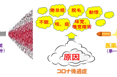 新型コロナ後遺症における漢方の可能性（クコを中心に）