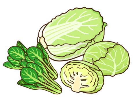 妊娠初期の葉野菜が児の喘息症状を予防
