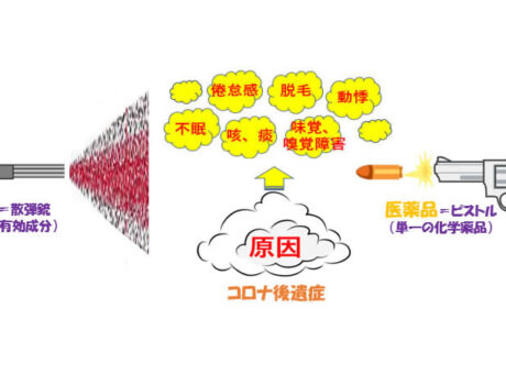 新型コロナ後遺症における漢方の可能性（クコを中心に）